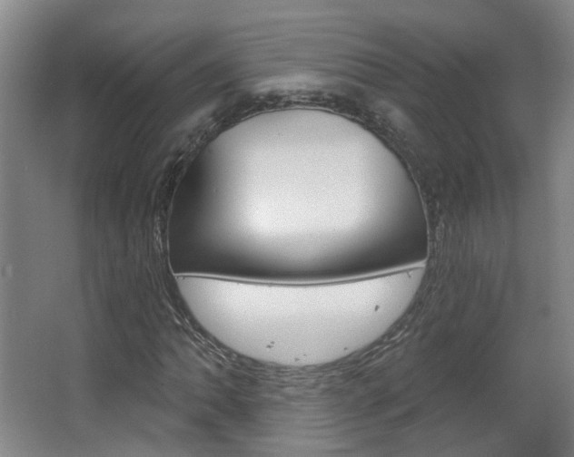 X0000063481062200601201019