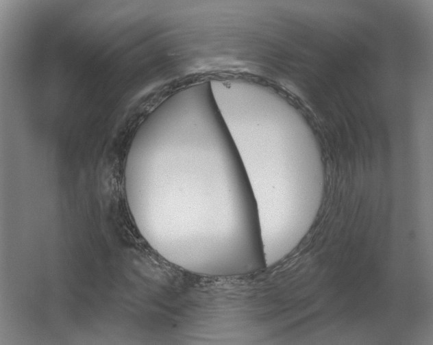 X0000063481063200601201019