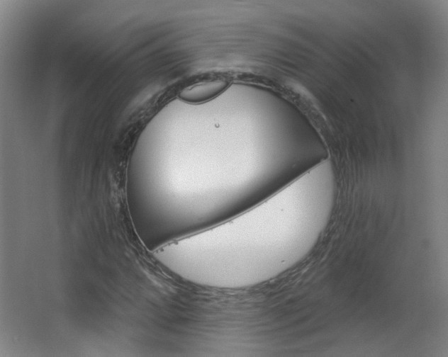 X0000063481064200601201019