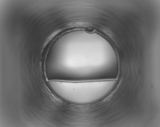 X0000063481066200601201019