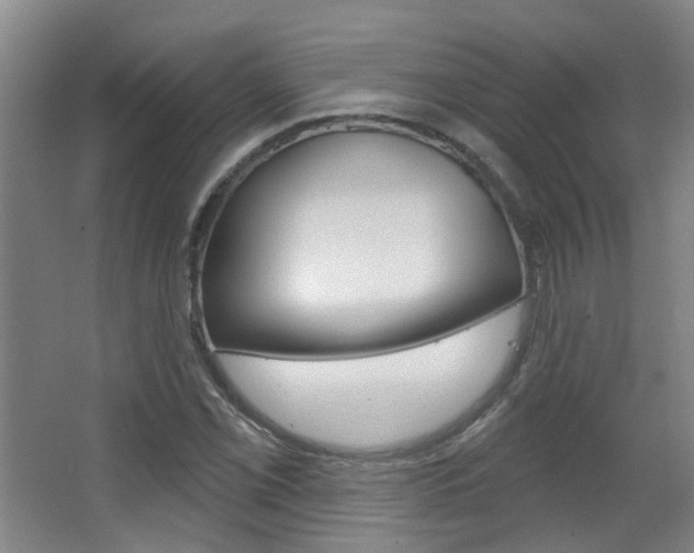 X0000063481069200601201019
