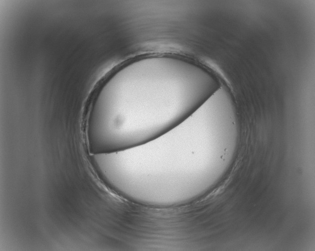 X0000063481071200601201019