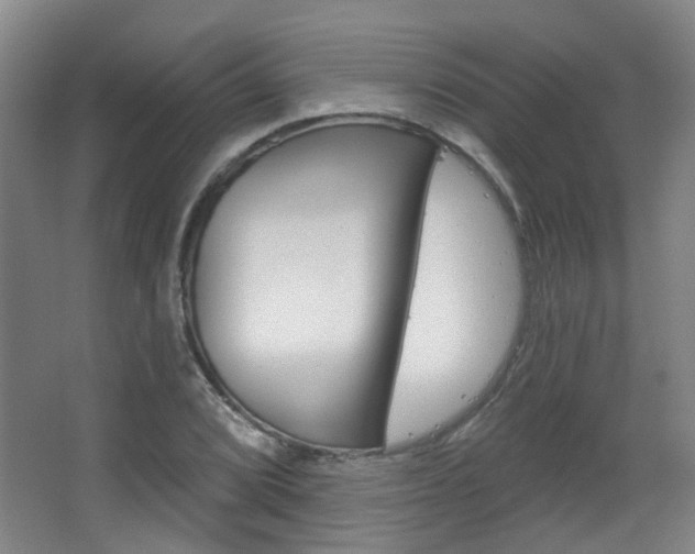 X0000063481072200601201019
