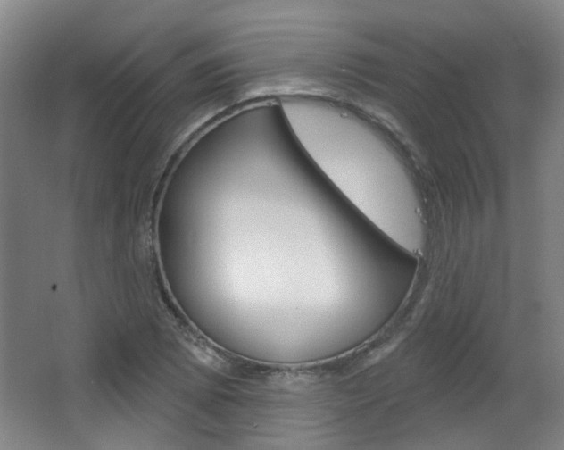 X0000063481073200601201019