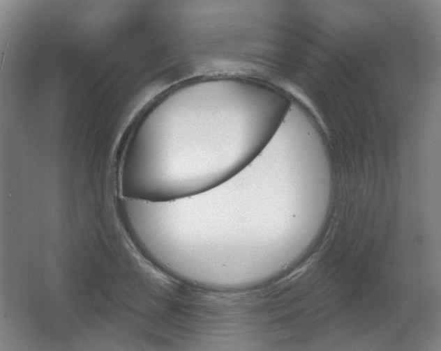 X0000063481075200601201019