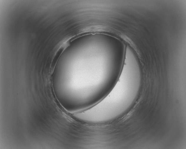 X0000063481081200601201019
