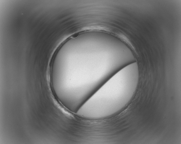 X0000063481084200601201018
