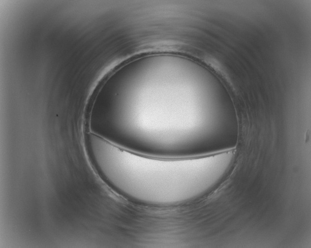 X0000063481085200601201018