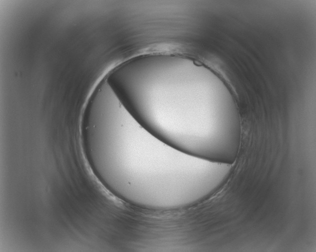 X0000063481091200601201018