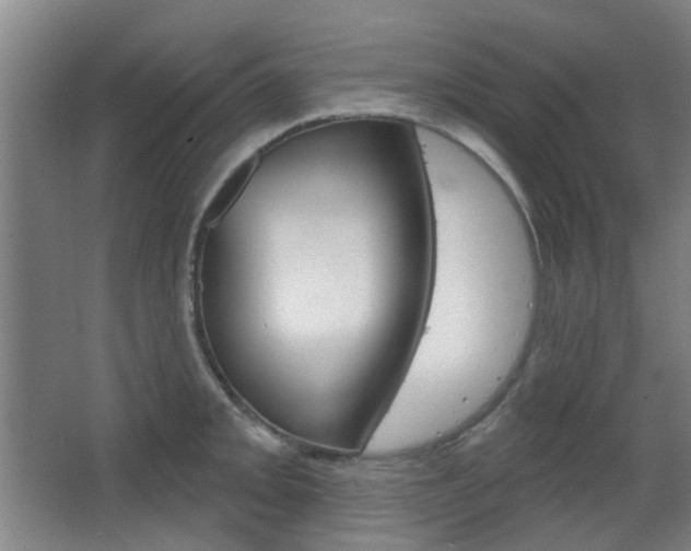 X0000063481093200601201018