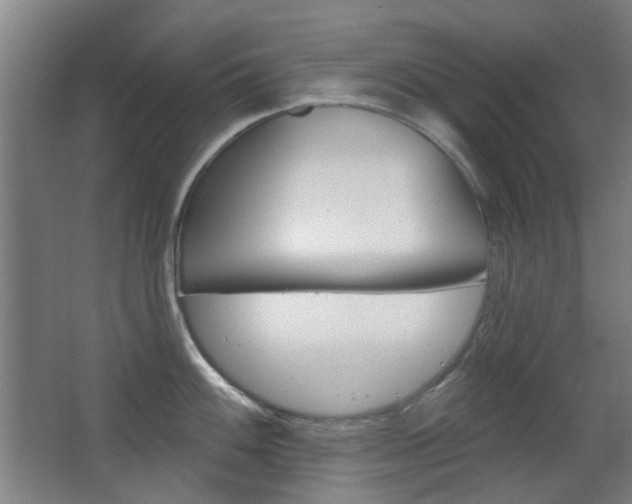 X0000063481100200601201018