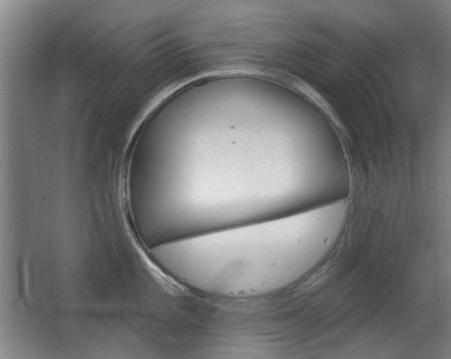 X0000063481101200601201018
