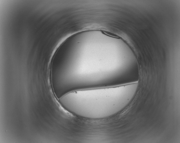 X0000063481102200601201018