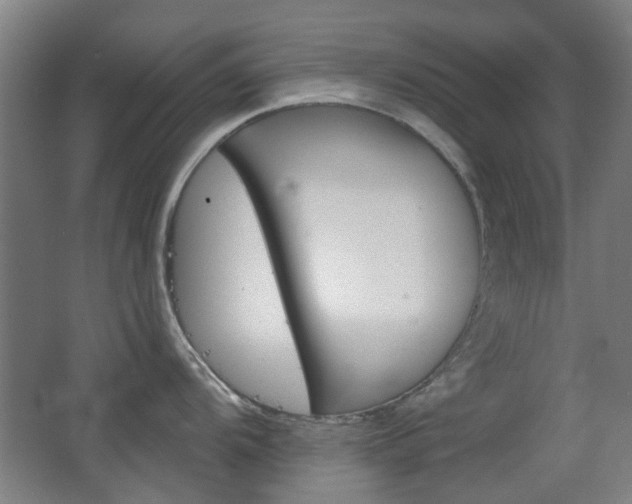 X0000063481104200601201018