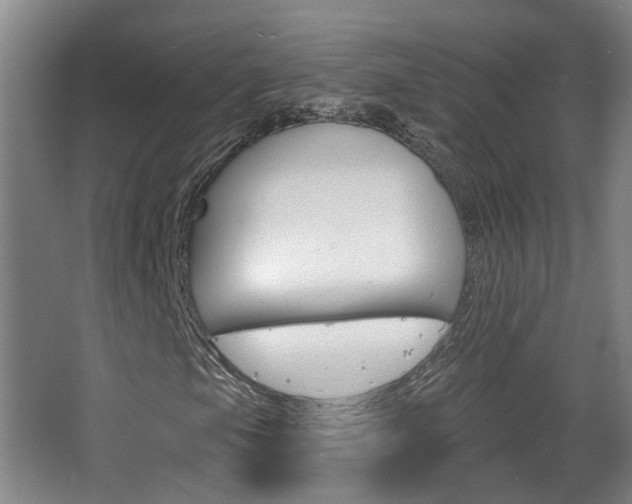 X0000063481105200601201017