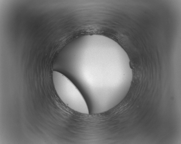X0000063481106200601201017