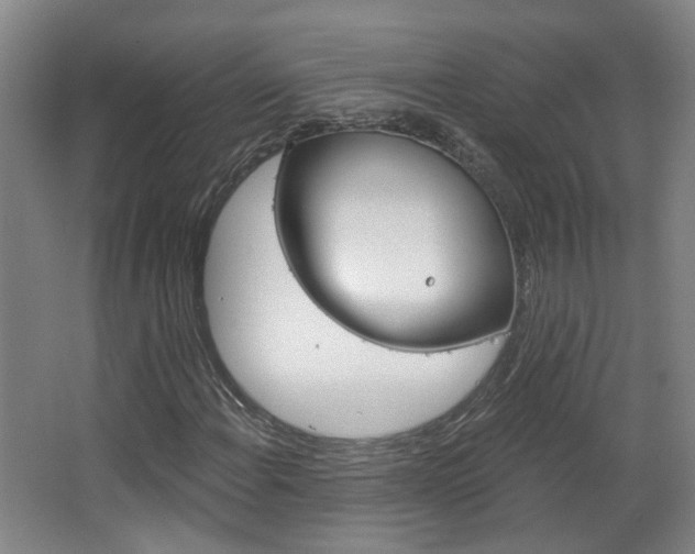 X0000063481108200601201017