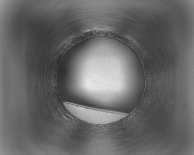 X0000063481110200601201017
