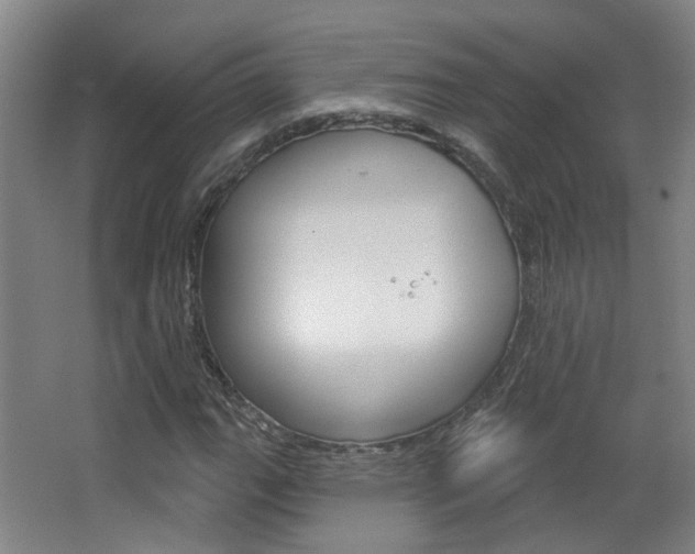 X0000063481111200601201017