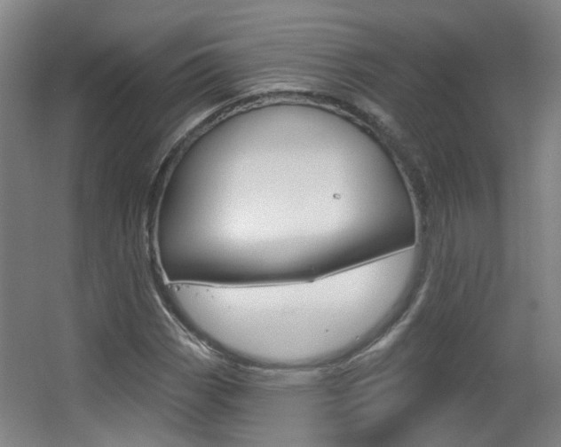 X0000063481113200601201017
