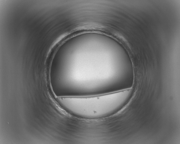 X0000063481114200601201017