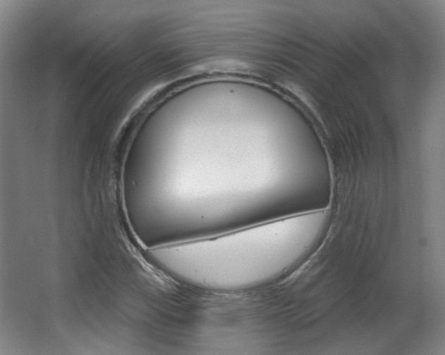 X0000063481115200601201017