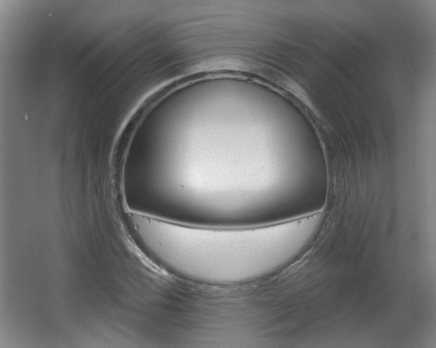 X0000063481116200601201018