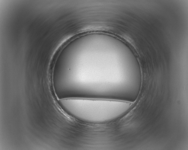 X0000063481119200601201018