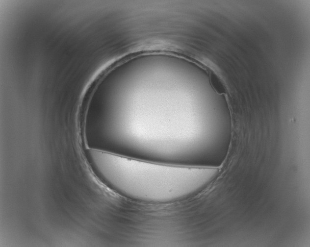 X0000063481120200601201018