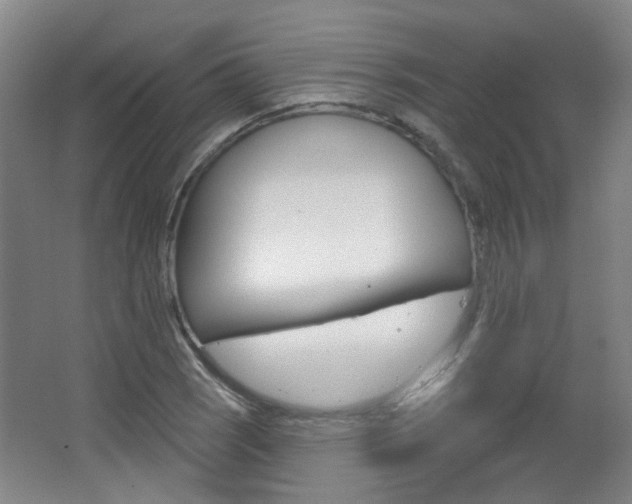 X0000063481121200601201018