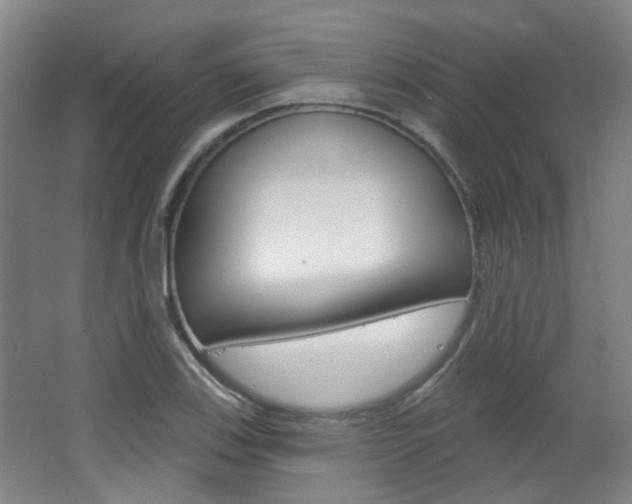 X0000063481123200601201018