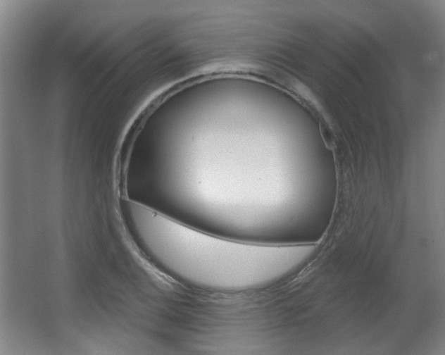 X0000063481124200601201018