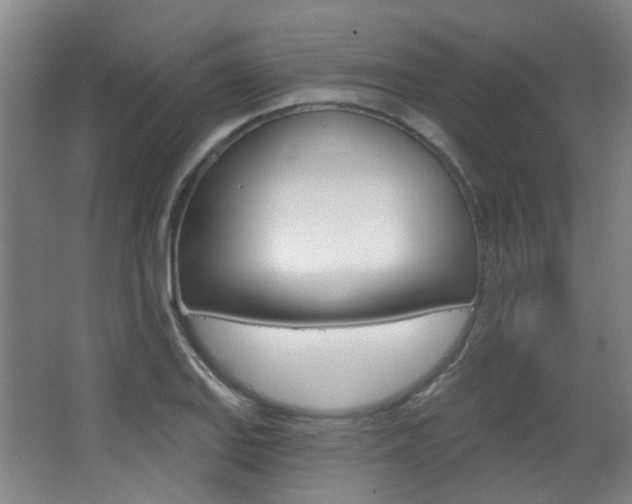 X0000063481127200601201018