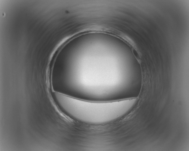X0000063481128200601201018