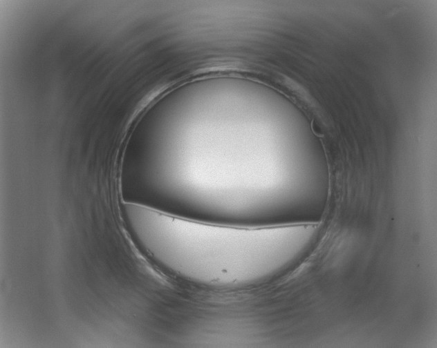 X0000063481129200601201018