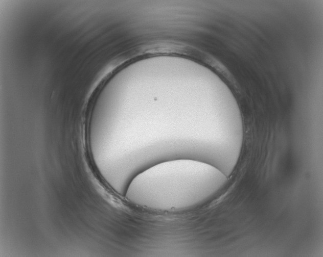 X0000063481130200601201018