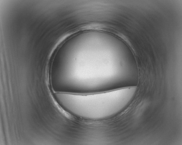 X0000063481131200601201018