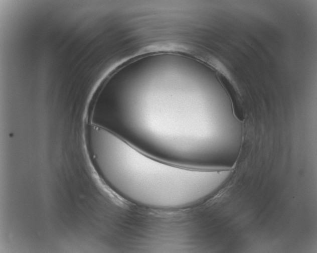 X0000063481132200601201018