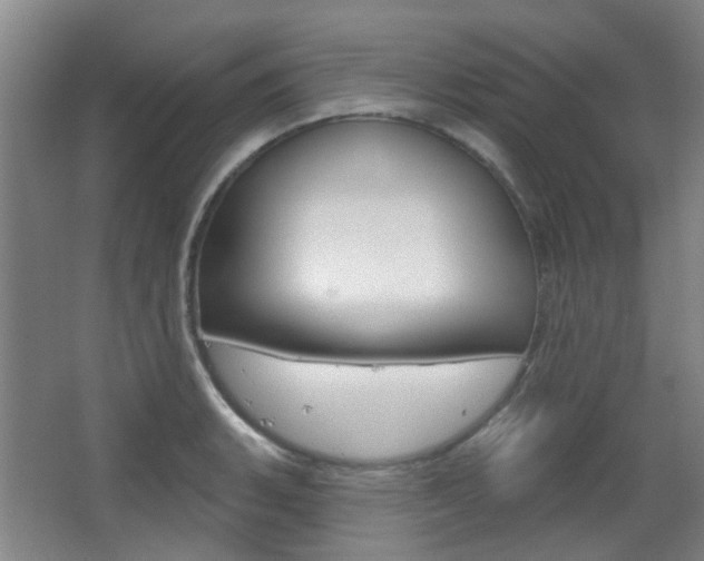 X0000063481135200601201018