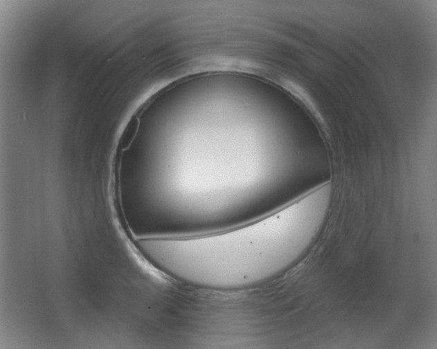 X0000063481136200601201018