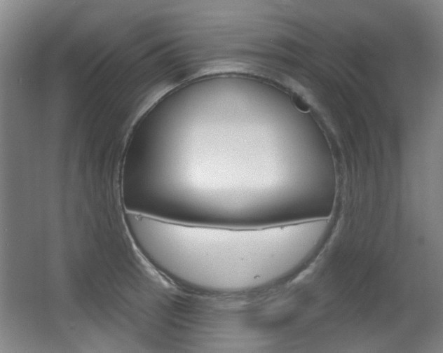 X0000063481137200601201018