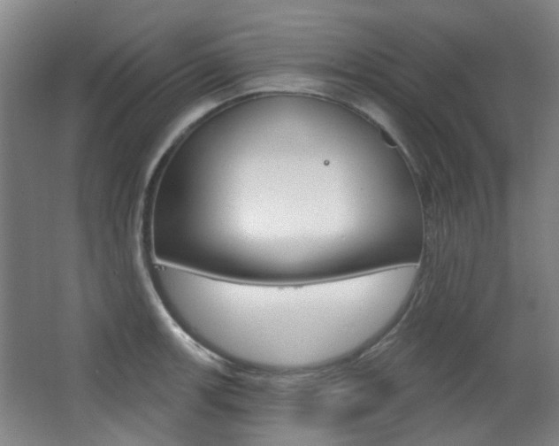 X0000063481139200601201018