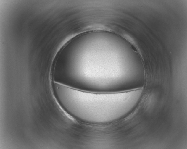 X0000063481141200601201018