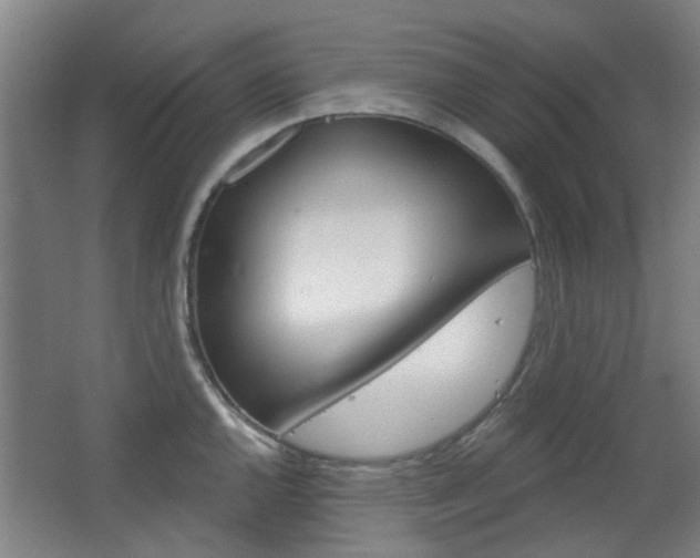 X0000063481144200601201018