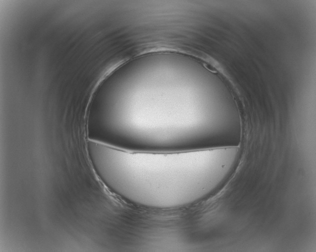 X0000063481145200601201018