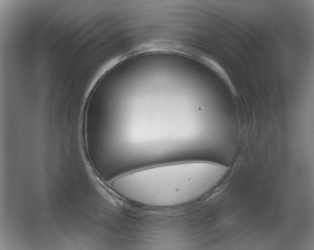 X0000063481146200601201018