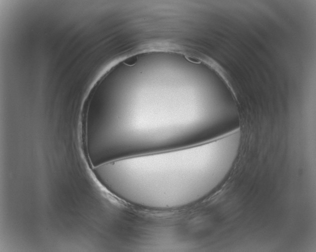 X0000063481147200601201018