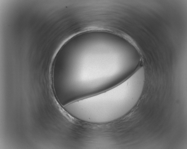 X0000063481148200601201018