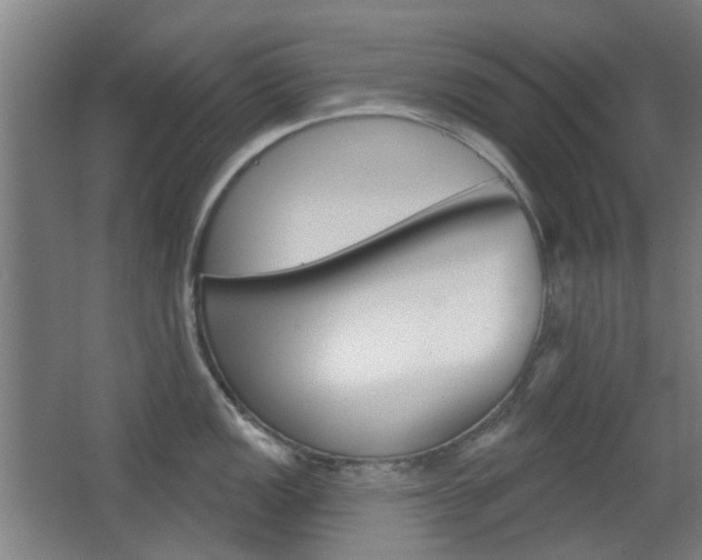 X0000063481149200601201018