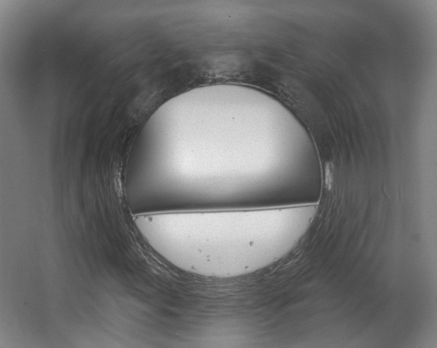 X0000063481155200601201017